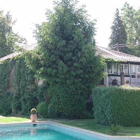 Casa Da Quinta De S. Martinho Hotel Vila Real Kültér fotó